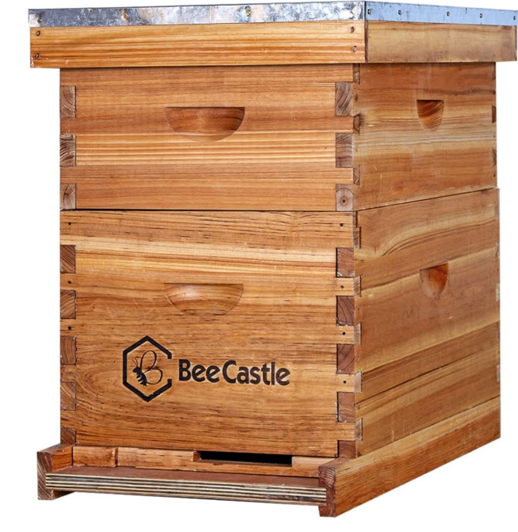 Double Deep Bee Hive